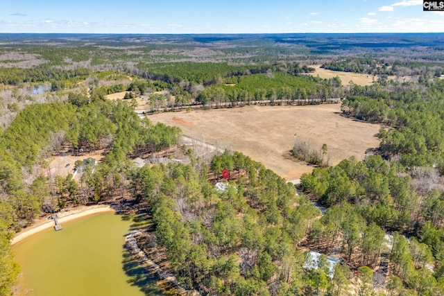 bird's eye view with a forest view