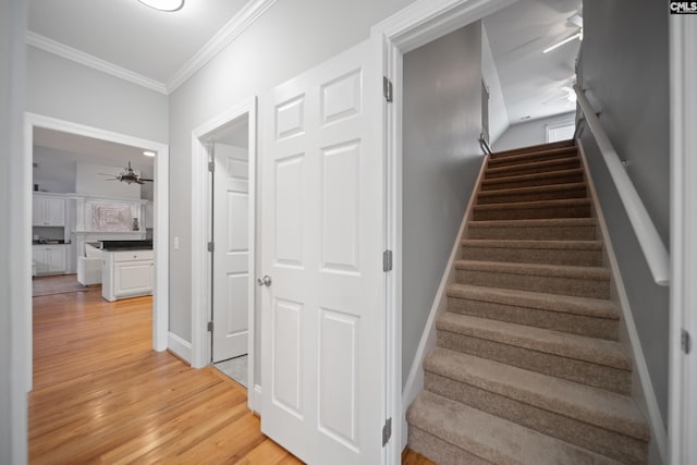 staircase featuring ceiling fan, crown molding, baseboards, and wood finished floors