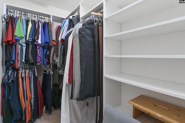 view of walk in closet