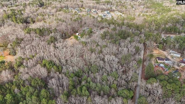 aerial view with a forest view