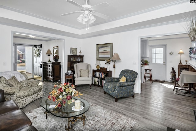 living room featuring ceiling fan, a raised ceiling, wood finished floors, and crown molding