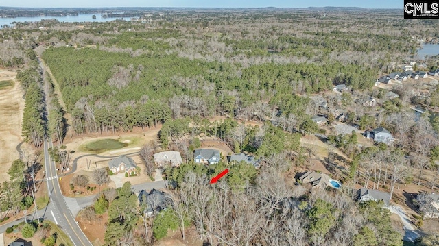 Listing photo 3 for 110 Lake Summit Dr, Chapin SC 29036