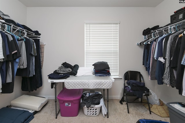 walk in closet featuring carpet