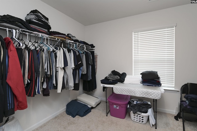 spacious closet with carpet