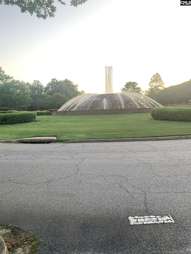 view of road with curbs