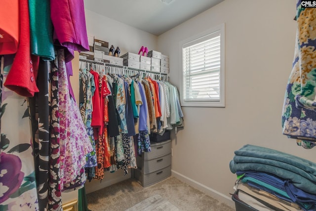 spacious closet featuring carpet floors