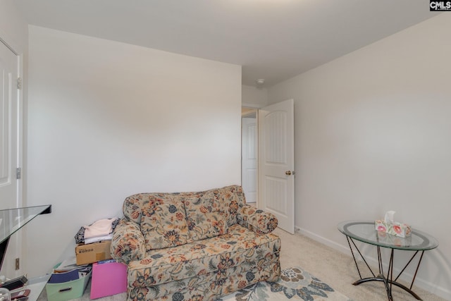 living area featuring baseboards and carpet flooring