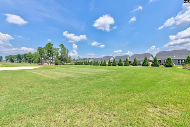 view of community with a yard