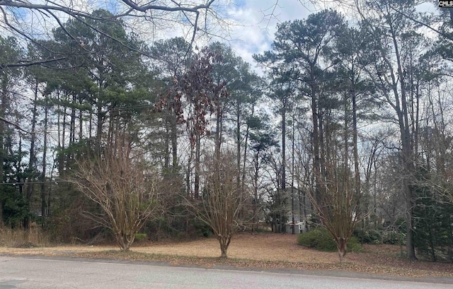 Carriage Ln, Columbia SC, 29212 land for sale