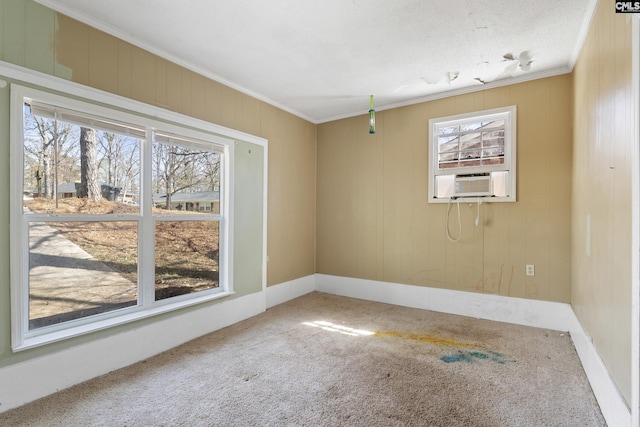 carpeted spare room with crown molding and plenty of natural light