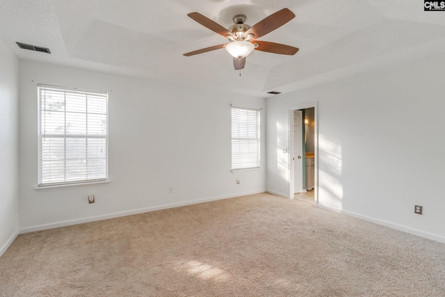 empty room featuring light carpet, a tray ceiling, and plenty of natural light