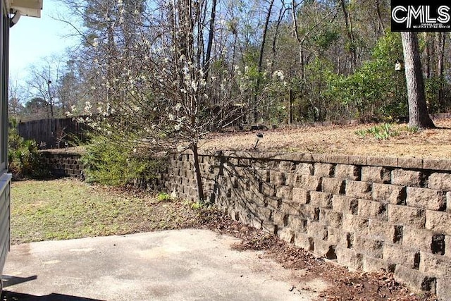 view of yard with a patio area and fence