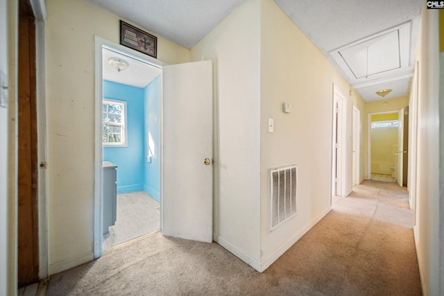 hall with baseboards, carpet floors, visible vents, and attic access