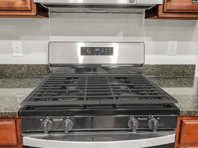 1124 Campbell Ridge Dr, Elgin, SC 29045 - details featuring stainless steel range with gas cooktop and brown cabinets