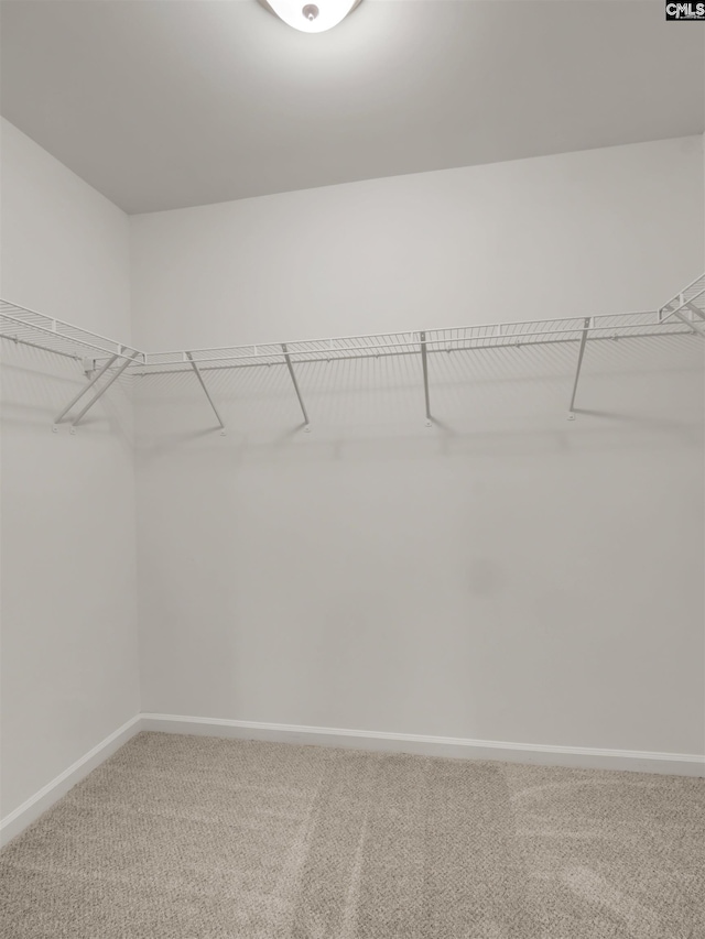 1124 Campbell Ridge Dr, Elgin, SC 29045 - spacious closet featuring carpet floors