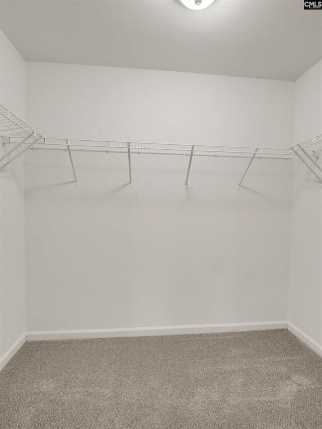 1124 Campbell Ridge Dr, Elgin, SC 29045 - walk in closet featuring carpet floors