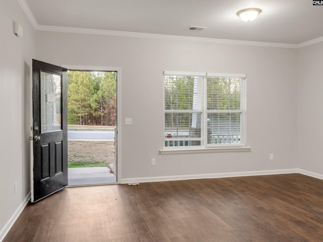 1124 Campbell Ridge Dr, Elgin, SC 29045 - foyer with plenty of natural light, dark wood finished floors, and baseboards