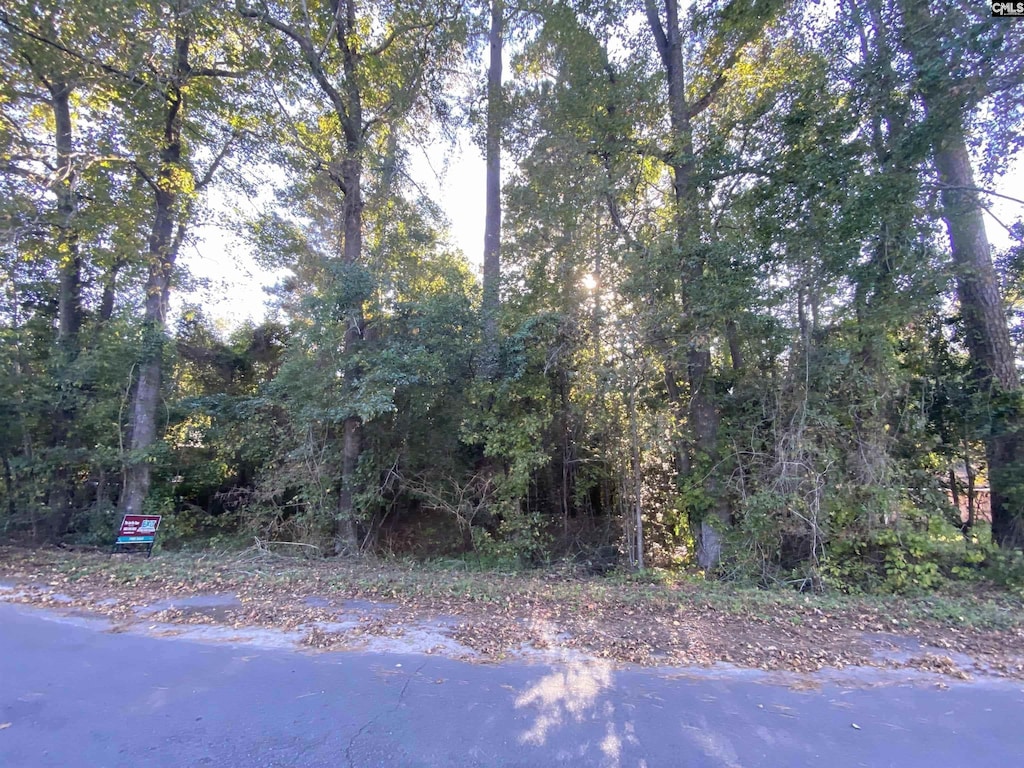 3265 Hunter Dr, Orangeburg, SC 29116
