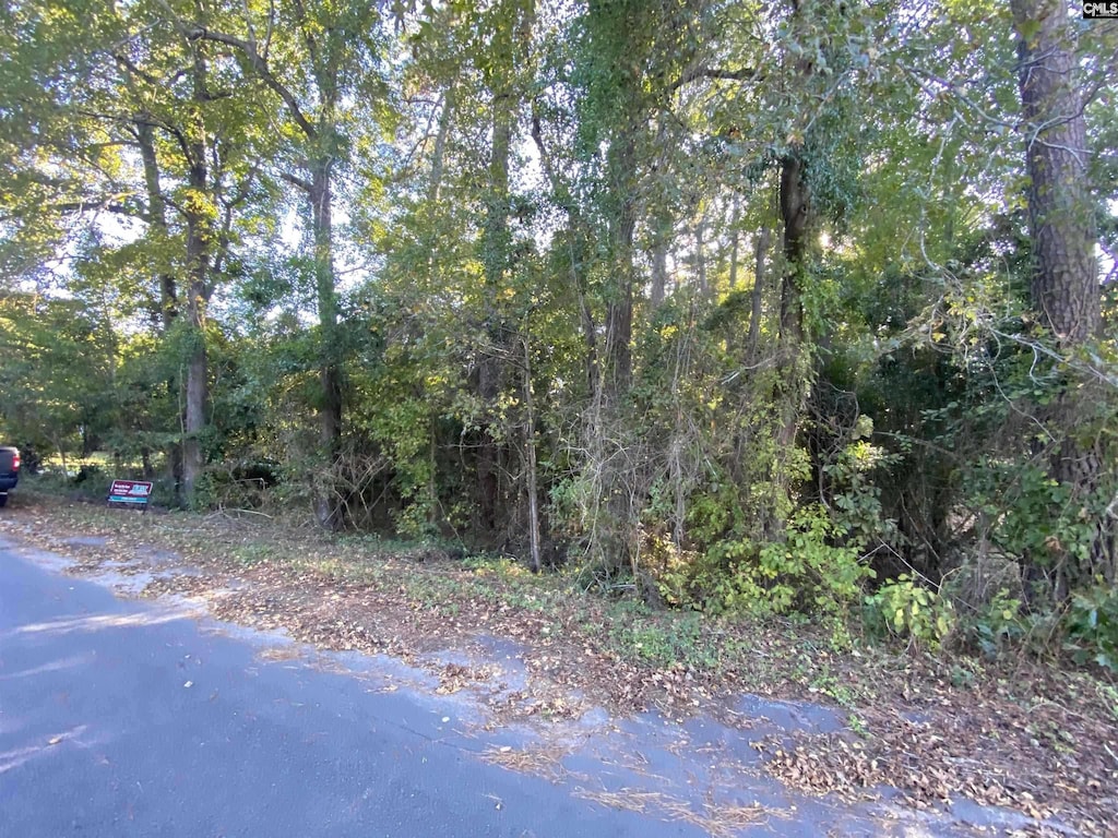 3265 Hunter Dr, Orangeburg, SC 29116