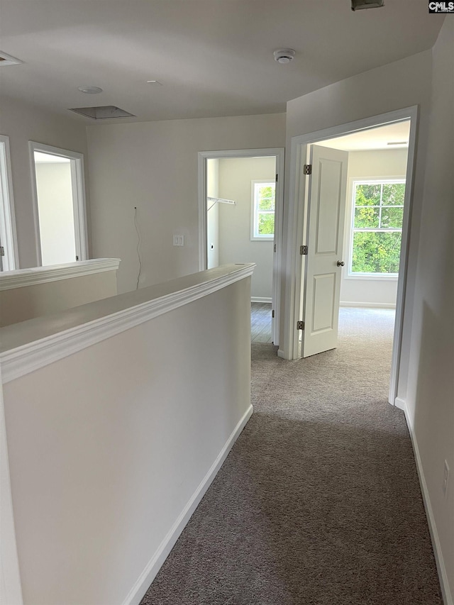 corridor with carpet floors, plenty of natural light, visible vents, and baseboards