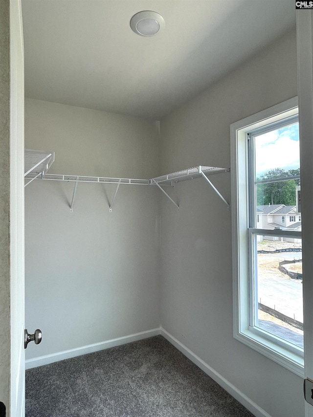 spacious closet with dark colored carpet