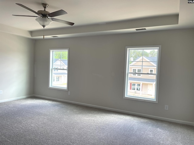 spare room with carpet floors, a tray ceiling, and a wealth of natural light