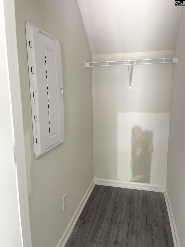 spacious closet featuring vaulted ceiling, electric panel, and dark wood finished floors