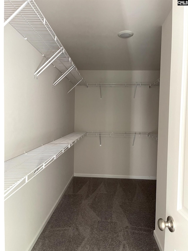 spacious closet featuring dark colored carpet