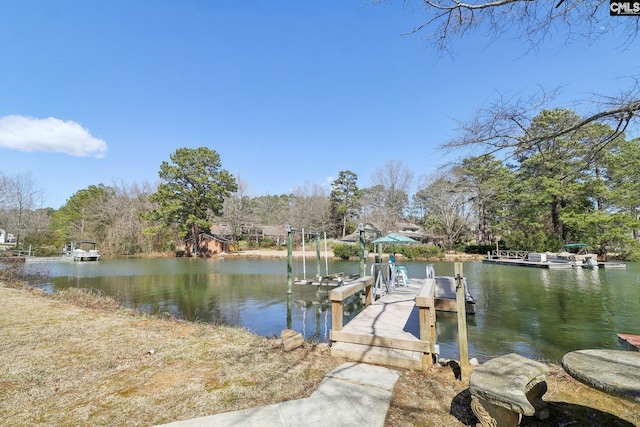 dock area with a water view