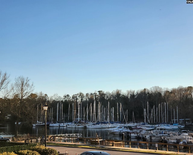 view of property's community with a boat dock and a water view