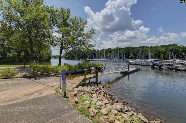 dock area featuring a water view and a view of trees