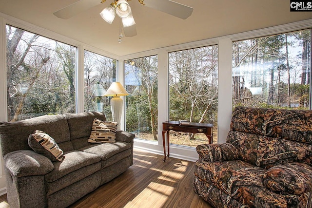 sunroom / solarium featuring a healthy amount of sunlight and a ceiling fan