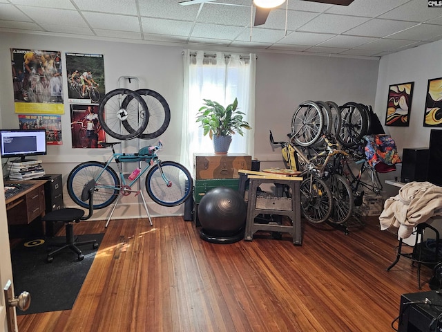 exercise area featuring a paneled ceiling and hardwood / wood-style floors