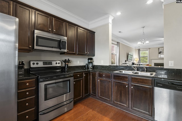 kitchen with a sink, dark wood finished floors, stainless steel appliances, crown molding, and dark brown cabinets