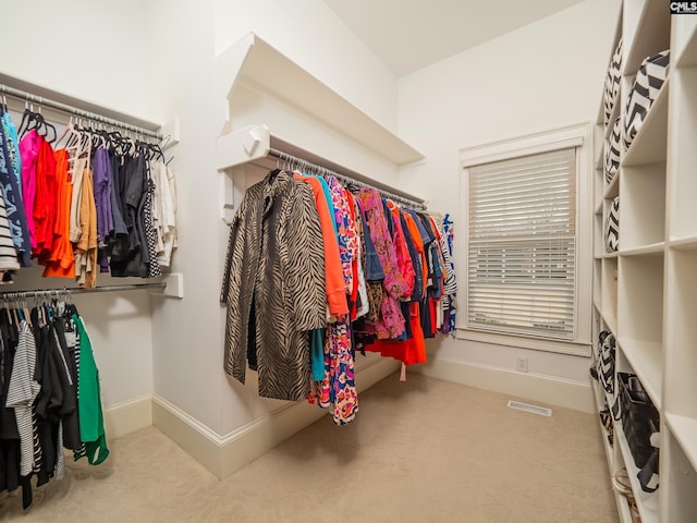 walk in closet with visible vents and carpet flooring