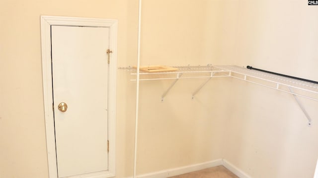 view of walk in closet