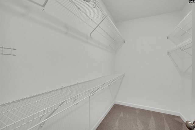 walk in closet with dark colored carpet