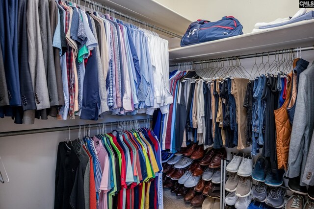 view of spacious closet