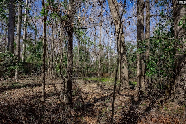 view of nature featuring a forest view
