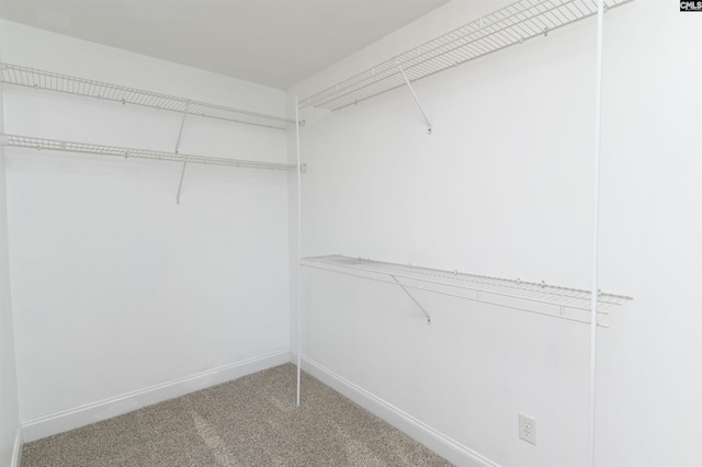 spacious closet with carpet flooring