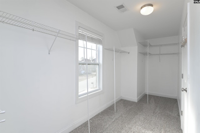 spacious closet featuring visible vents and carpet floors