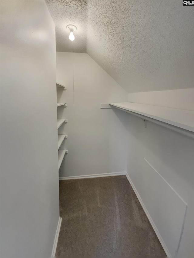 walk in closet with vaulted ceiling and carpet floors