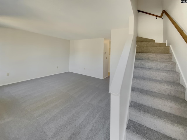 stairway with carpet flooring