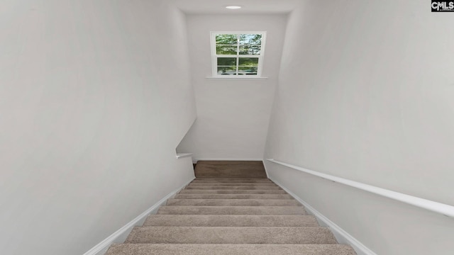 staircase with baseboards and carpet floors