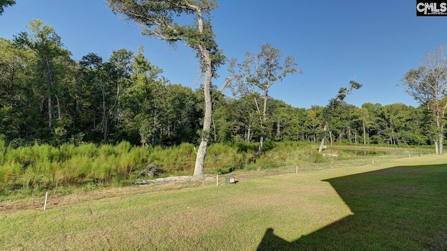 view of yard with a wooded view