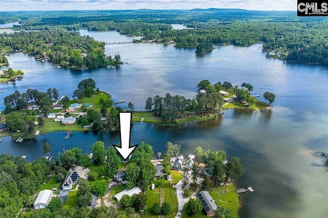 aerial view with a wooded view and a water view