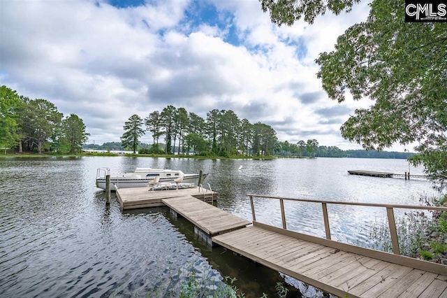 dock area with a water view