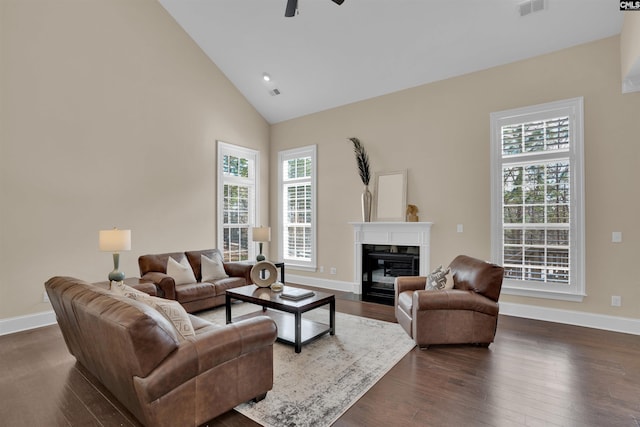 living area featuring baseboards, plenty of natural light, and dark wood-type flooring