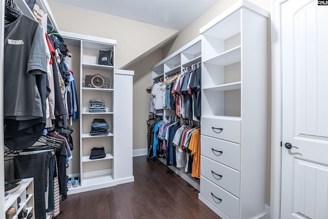 walk in closet featuring dark wood finished floors