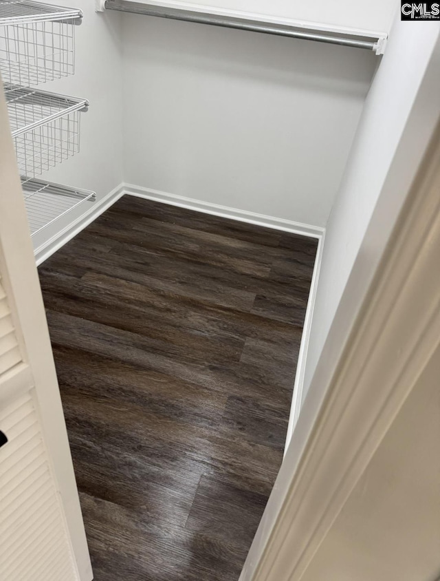 walk in closet with dark wood-style flooring